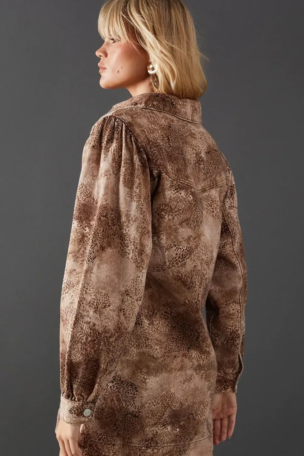 Animal Denim Overhead Shirt Dress