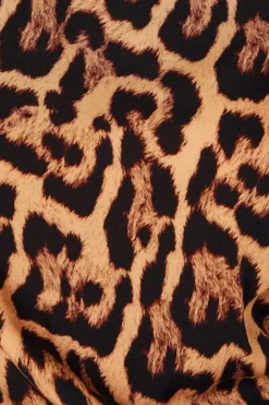 Animal Shirred Hem Blouse