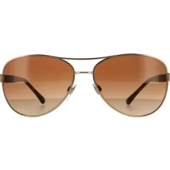 Aviator Gold Brown Brown Gradient Sunglasses