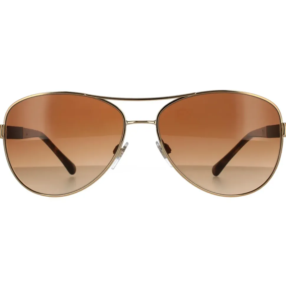 Aviator Gold Brown Brown Gradient Sunglasses
