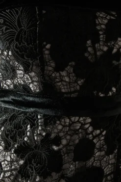 Bardot Detail Velvet Lace Pencil Dress With Contrast Lining