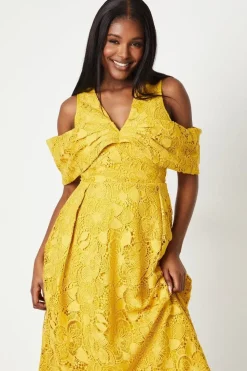 Bardot Panel Lace Midi Dress