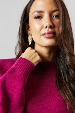 Berry High Neck Jumper
