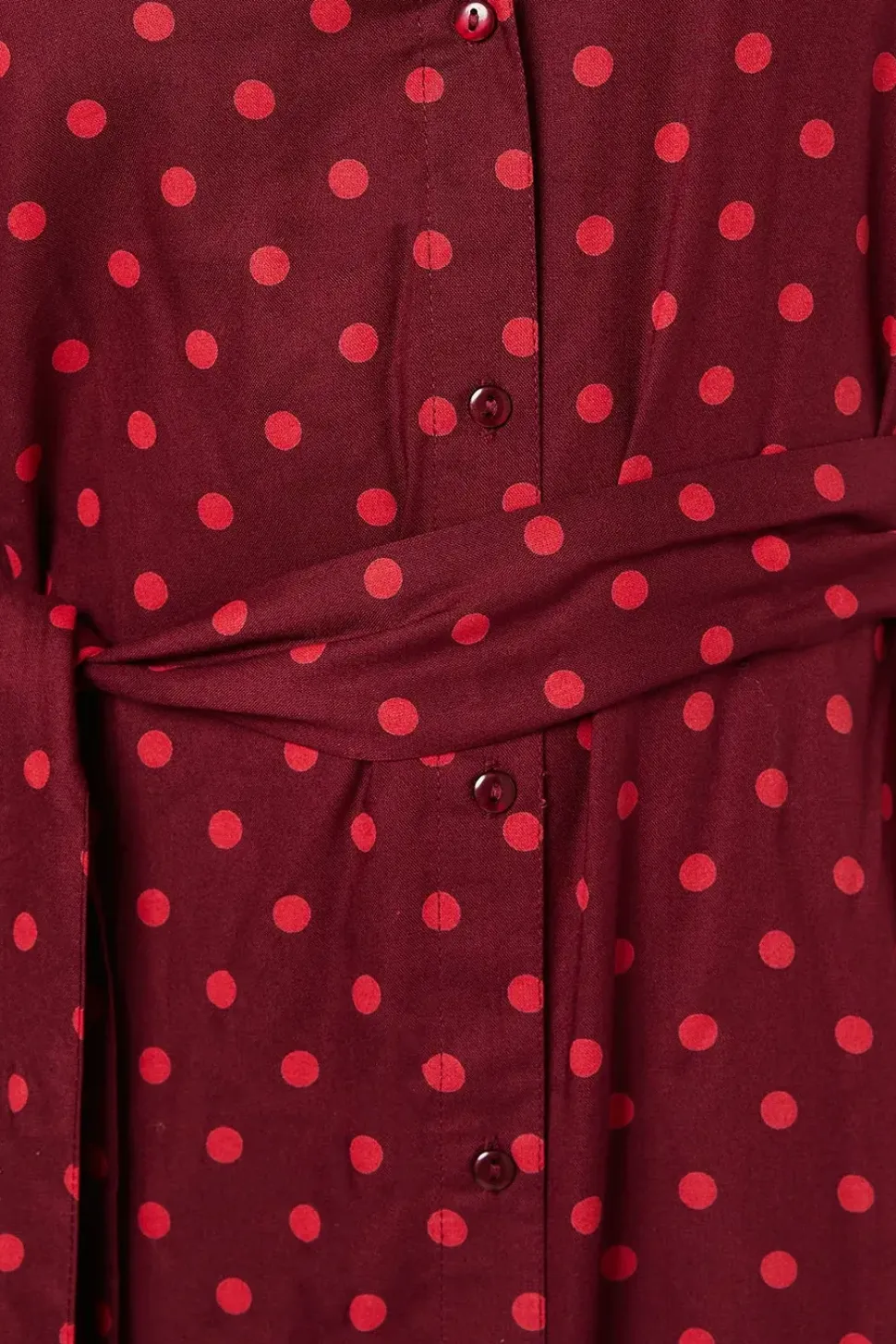 Berry Spot Shirt Dress