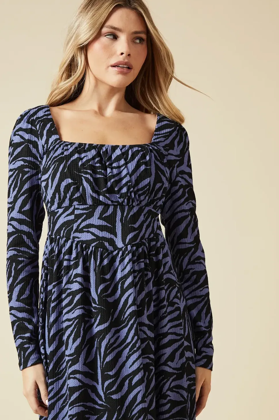 Blue Zebra Seam Detail Long Sleeve Midi Dress