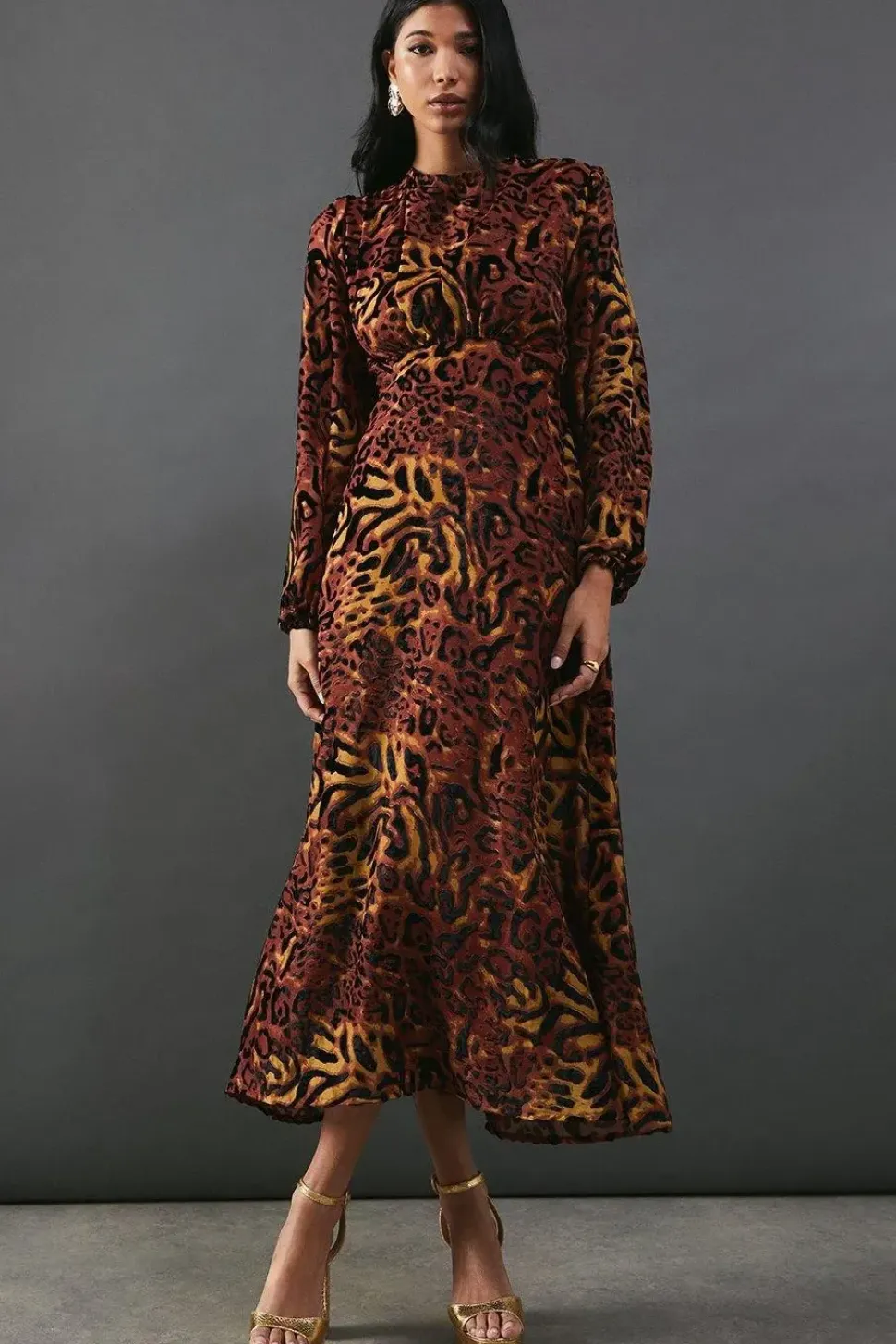 Burnout Velvet Balloon Sleeve Empire Seam Midi Dress