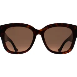 Butterfly Havana Brown GG1550SK