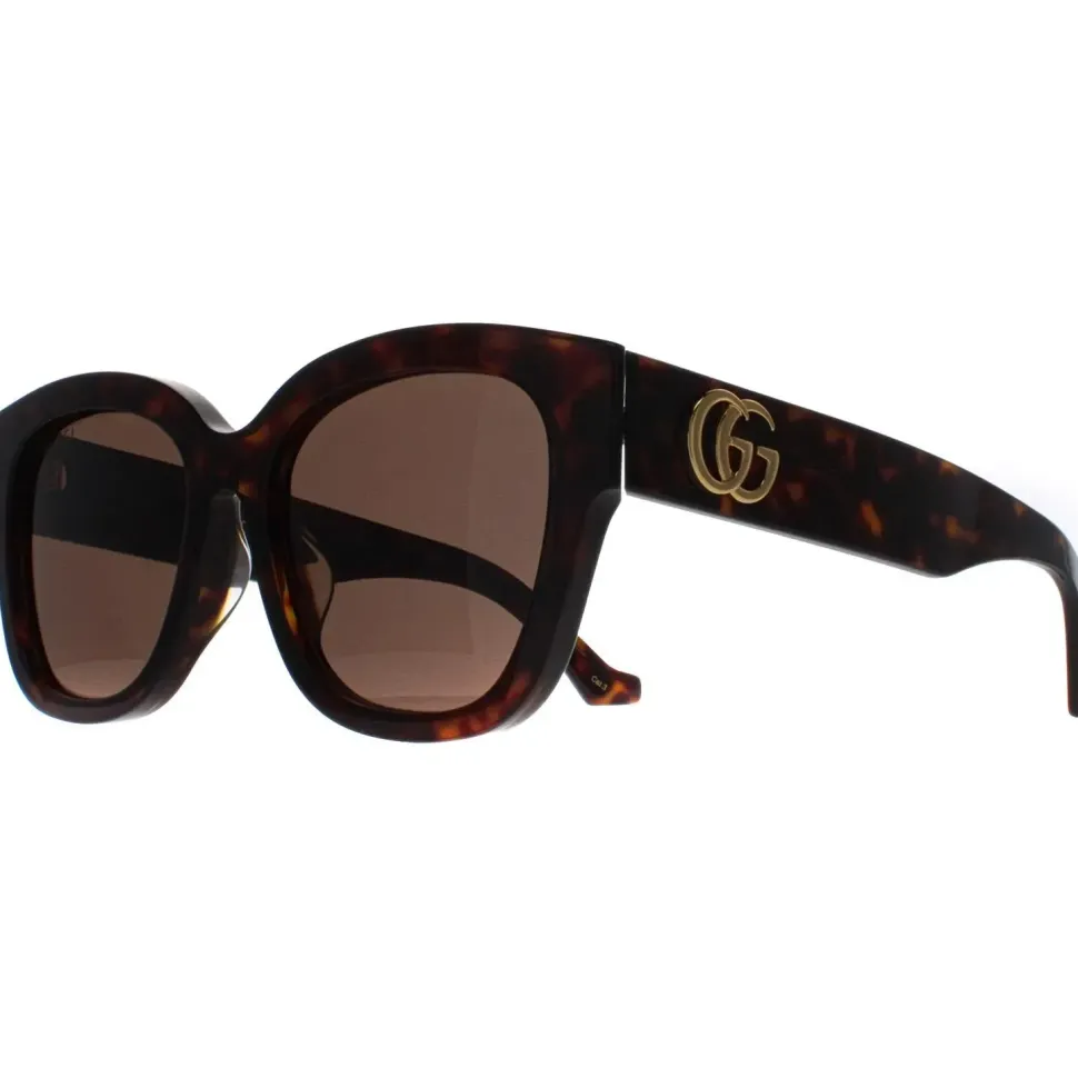 Butterfly Havana Brown GG1550SK