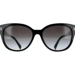 Cat Eye Shiny Black Grey Gradient RA5305U
