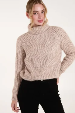 Chenille Roll Neck Knit Jumper
