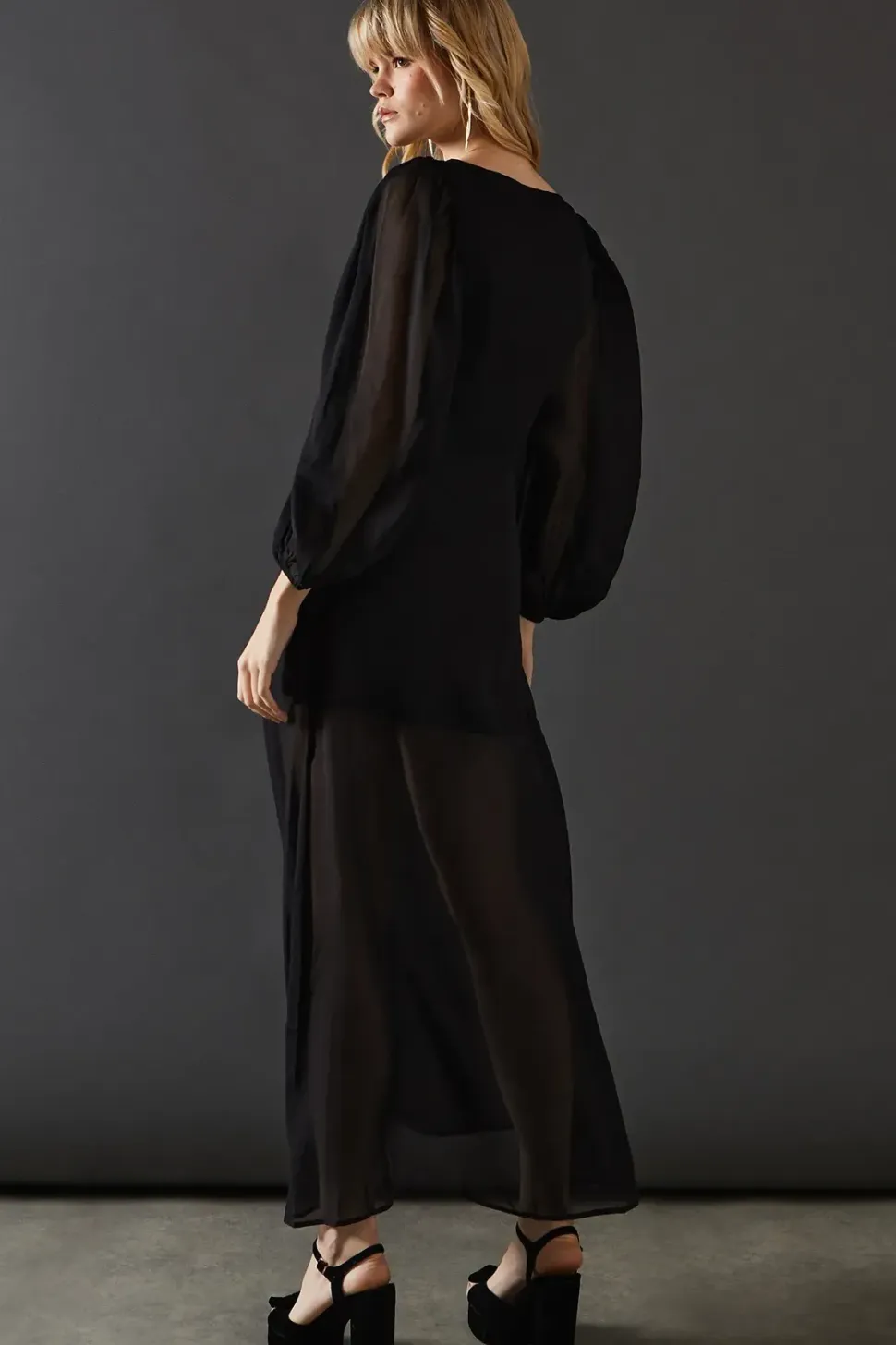 Chiffon Long Sleeve Maxi Dress