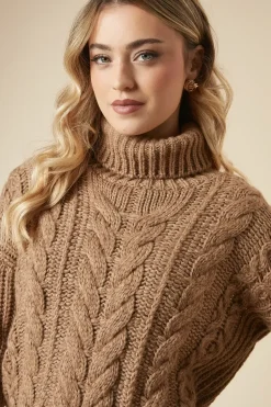 Chunky Cable Knit Roll Neck High Low Hem Jumper