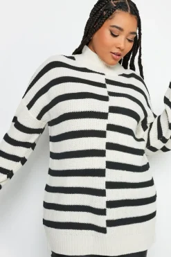 Contrast Stripe Turtle Neck Jumper