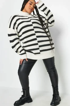Contrast Stripe Turtle Neck Jumper