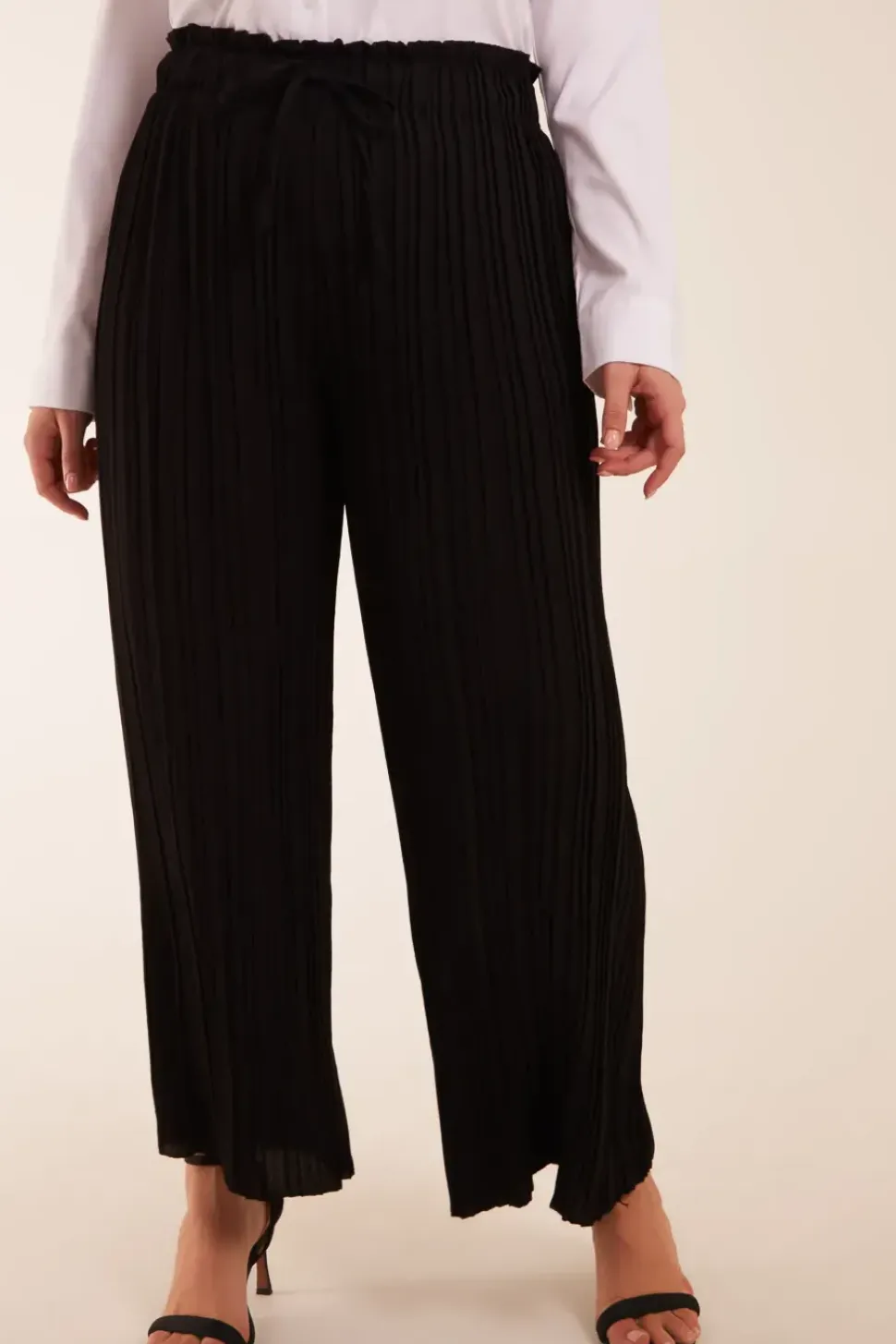Curve Wide Leg Pleated Trousers