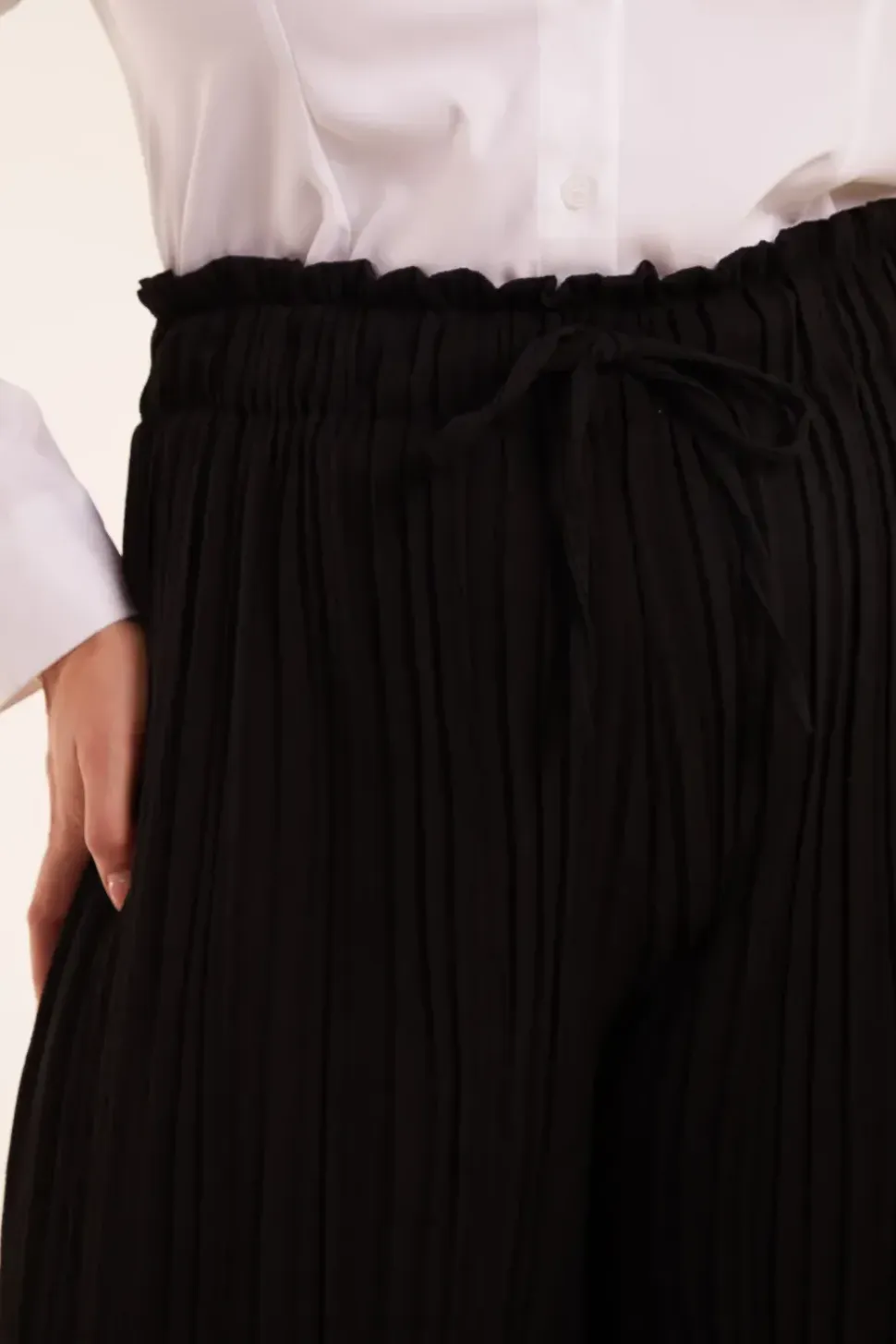 Curve Wide Leg Pleated Trousers
