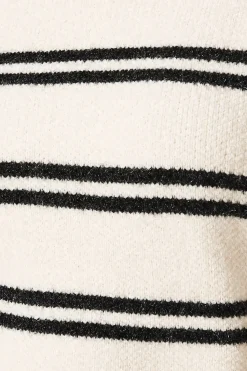Double Stripe Roll Neck Jumper