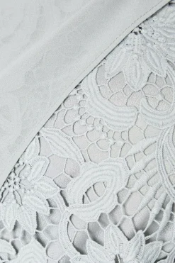 Drape Overlay Lace Pencil Dress