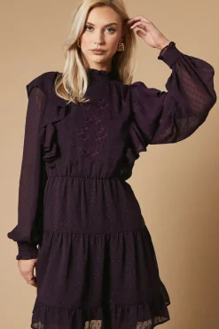 Embroidered Dobby Chiffon Mini Dress
