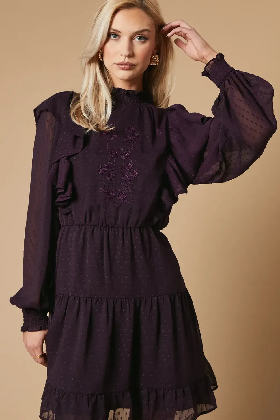 Embroidered Dobby Chiffon Mini Dress