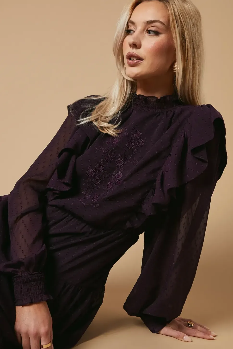 Embroidered Dobby Chiffon Mini Dress