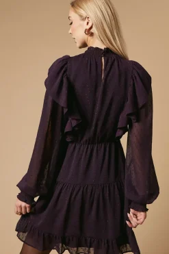 Embroidered Dobby Chiffon Mini Dress