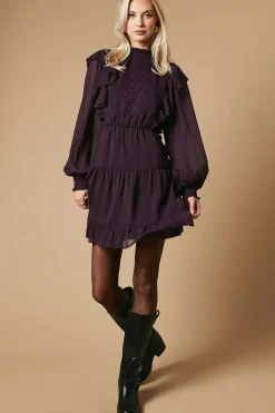 Embroidered Dobby Chiffon Mini Dress