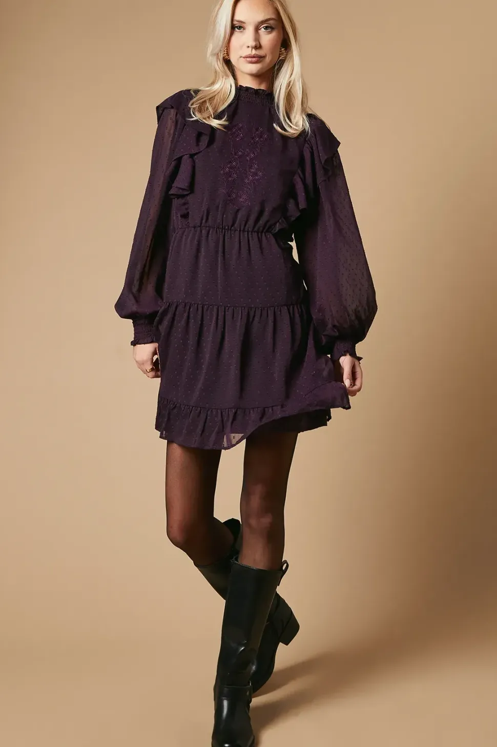 Embroidered Dobby Chiffon Mini Dress