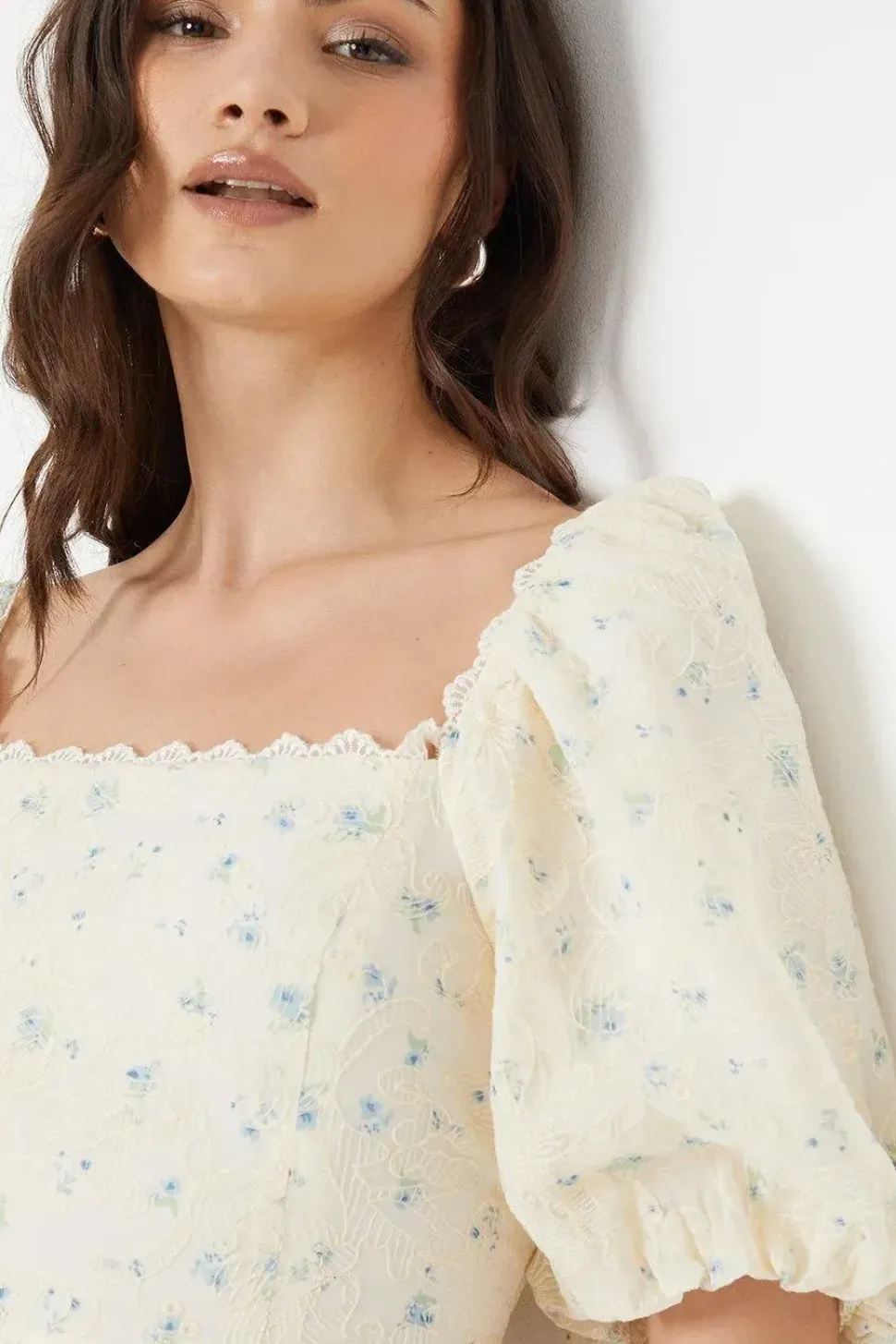 Embroidered Floral Puff Sleeve Mini Dress