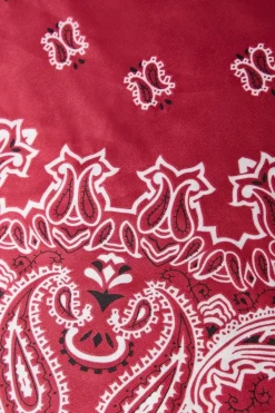 Faith: Paisley Print Neckerchief