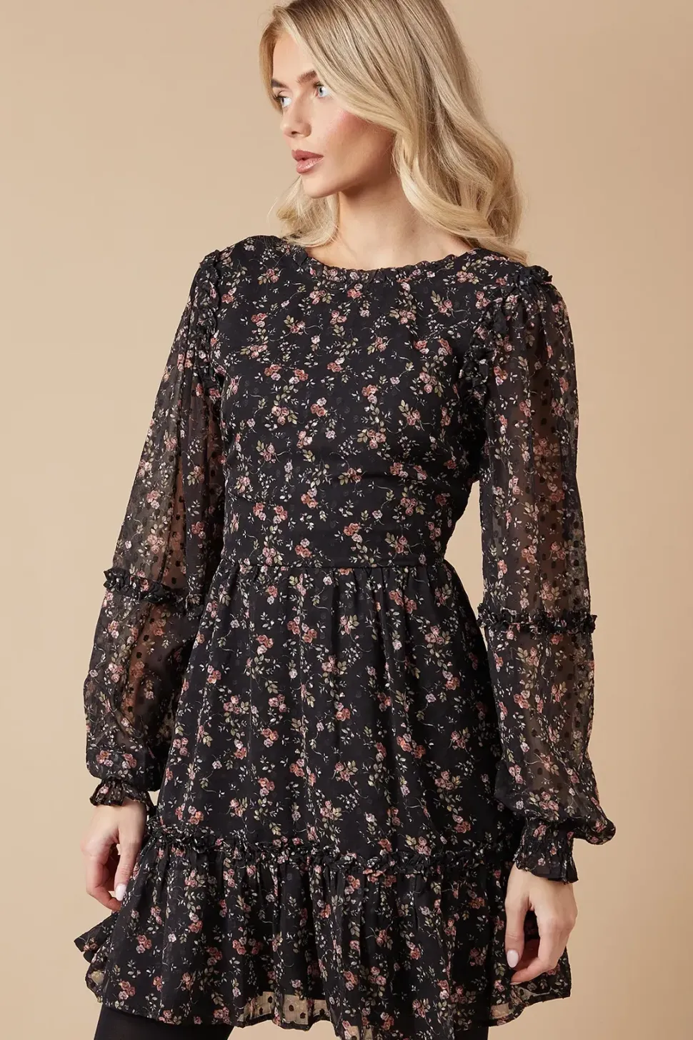 Floral Dobby Chiffon Ruffle Detail Mini Dress