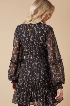 Floral Dobby Chiffon Ruffle Detail Mini Dress