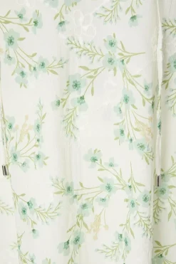 Floral Embroidered Balloon Sleeve Top