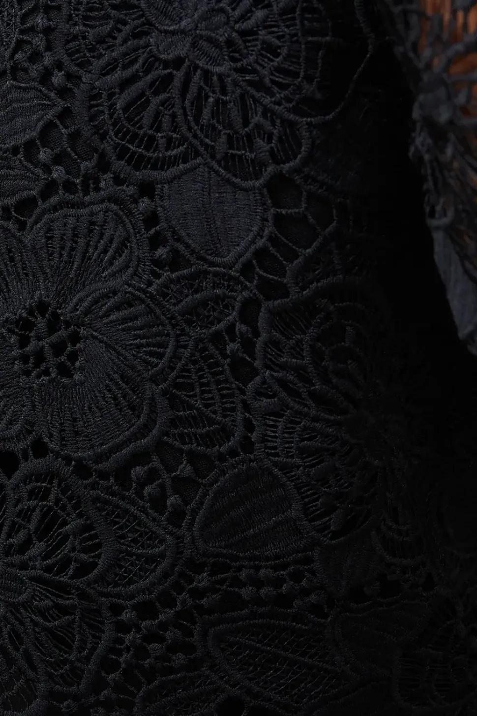 Floral Premium Lace Long Sleeve Top