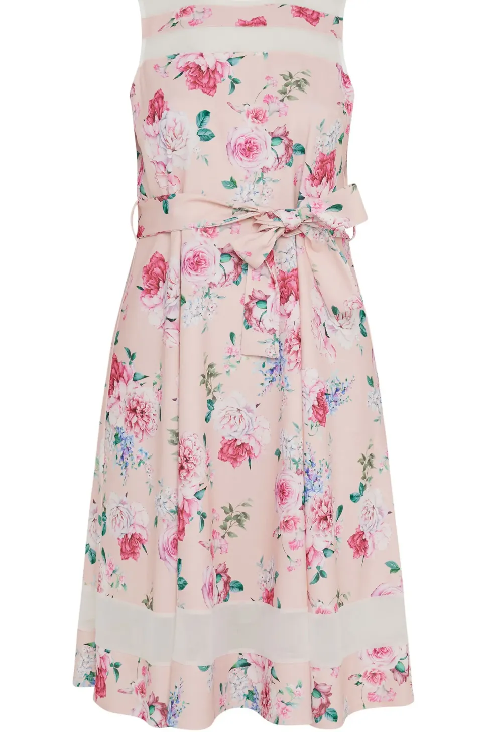 Floral Print Skater Dress