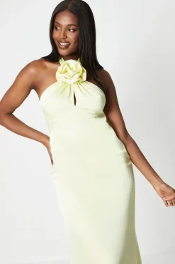 Halterneck Corsage Satin Maxi Dress