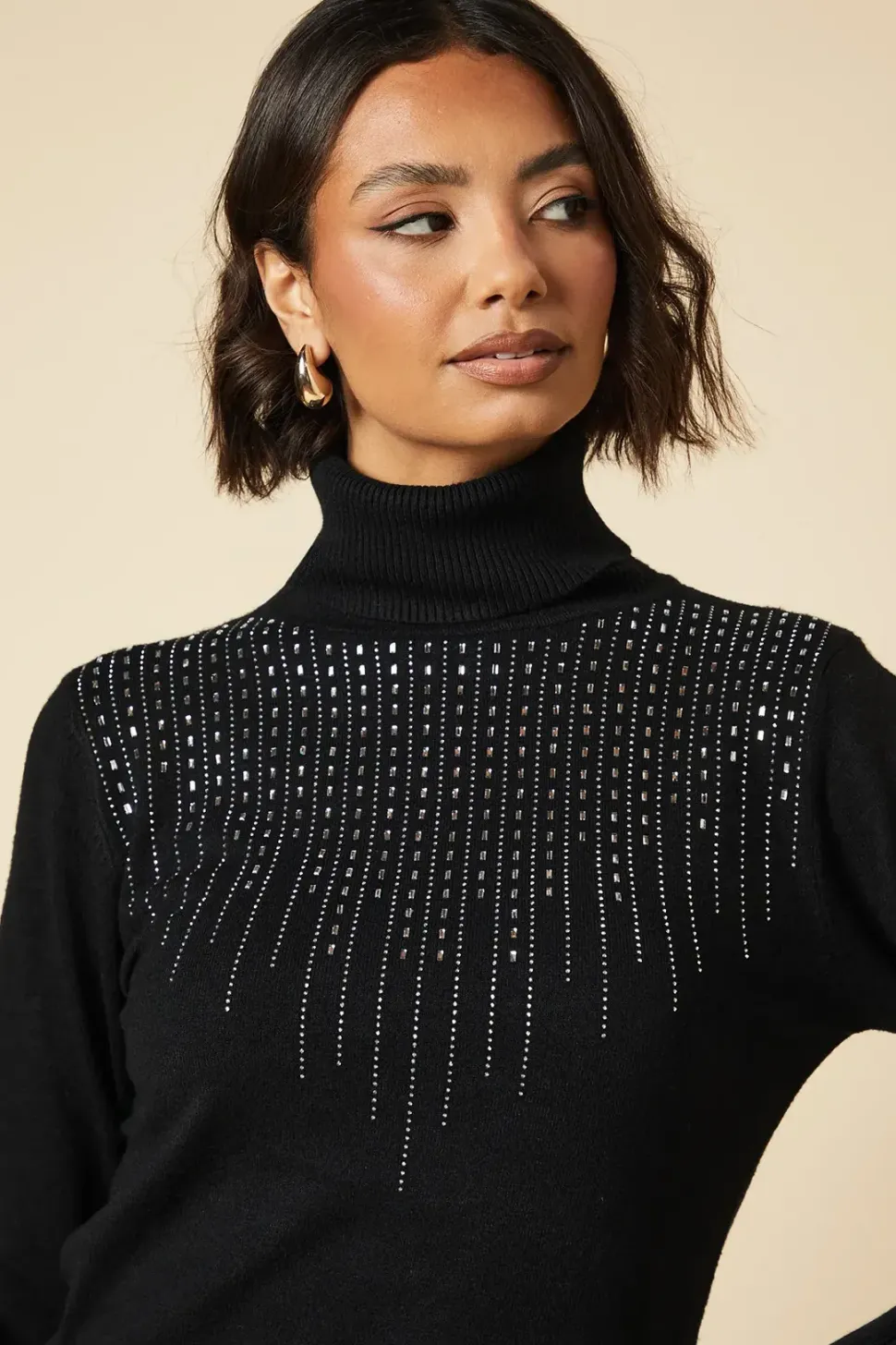 Hot Fix Detail Roll Neck Jumper