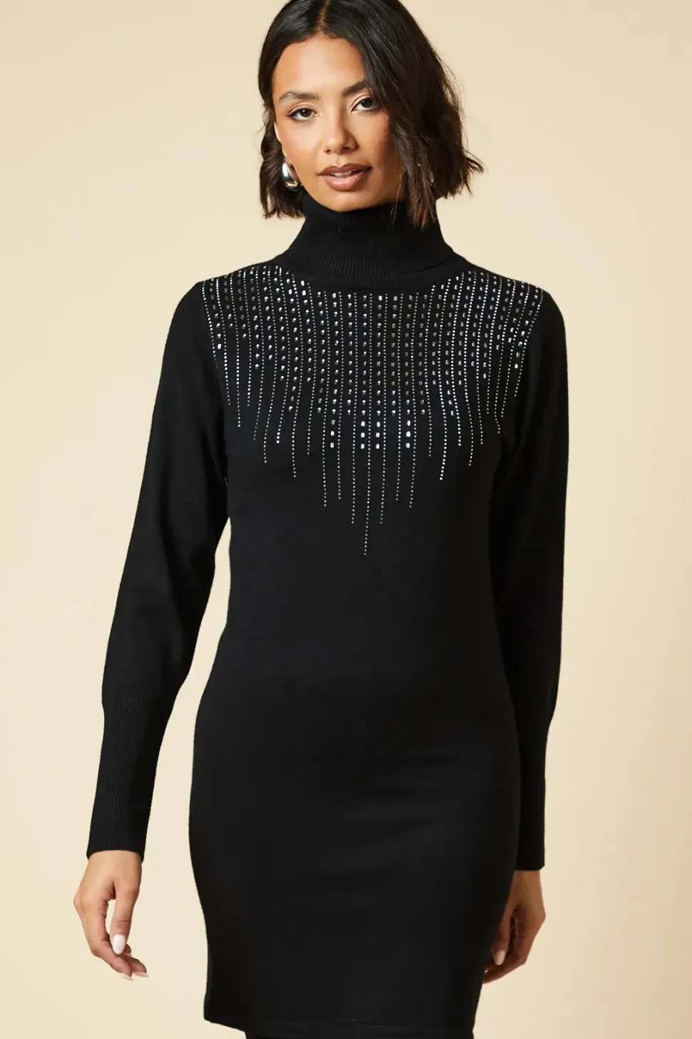 Hot Fix Detail Roll Neck Knitted Dress