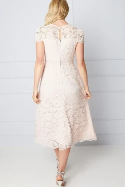 Lace Fit And Flare Midi Dress