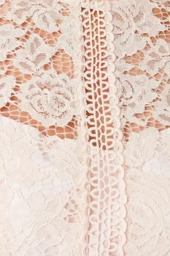 Lace Fit And Flare Midi Dress