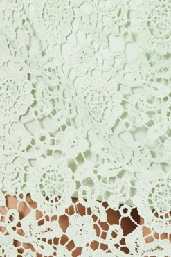 Lace Mini Skirt