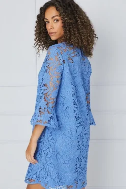 Lace Ruffle Sleeve Shift Dress