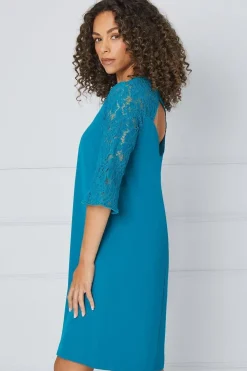 Lace Ruffle Sleeve Shift Dress