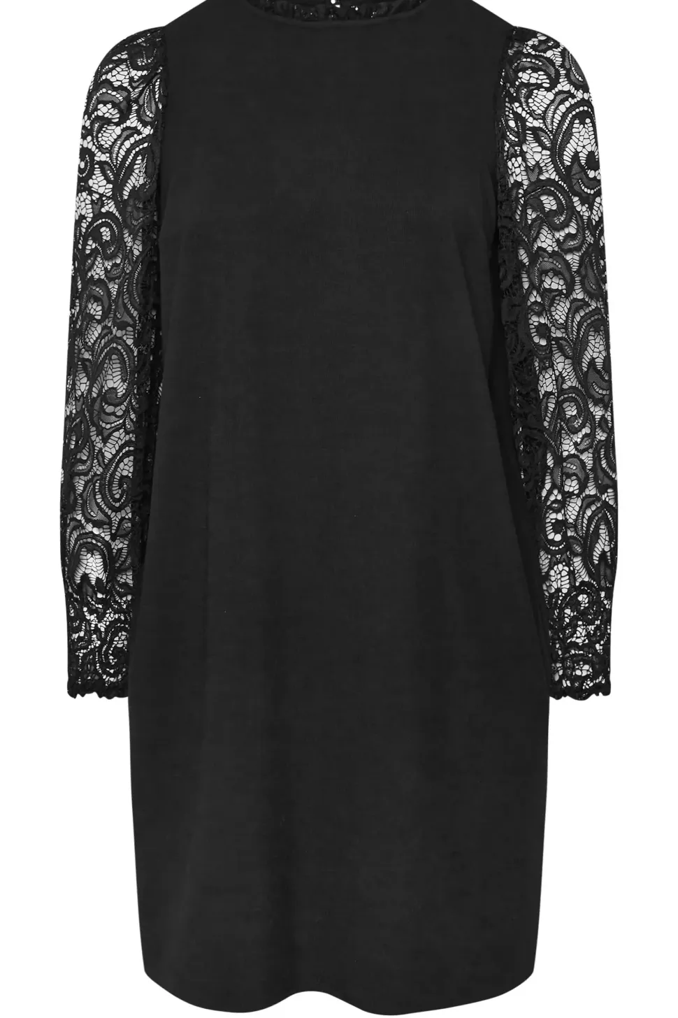 Lace Sleeve Mini Dress