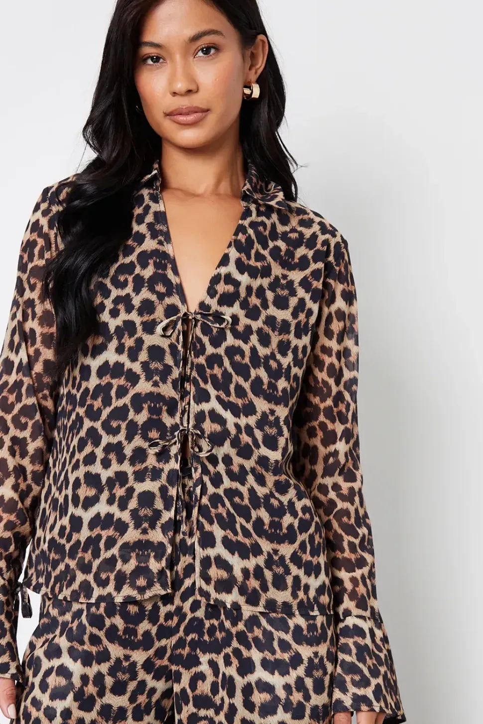 Leopard Print Chiffon Tie Front Blouse