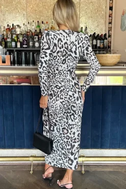 Leopard Print Long Sleeve Ruched Mesh Mini Dress