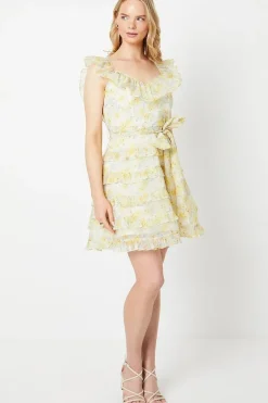 Lime Floral Ruffle Organza Mini Dress