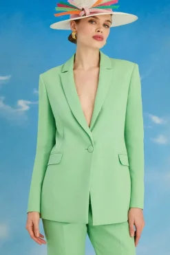 Lisa Tan Single Breasted Fitted Jacket