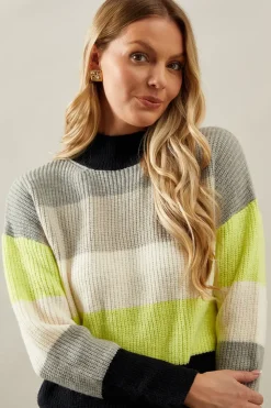 Multi Stripe High Neck Jumper