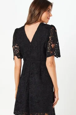 Occasion Corded Lace Shift Dress